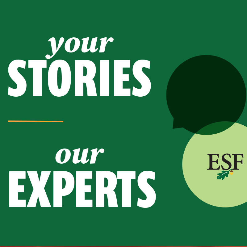 Your stories, our experts